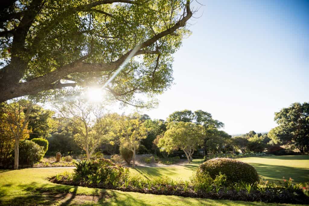 Park with trees without people in the concept of 'Best parks and green spaces in Wandsworth'.